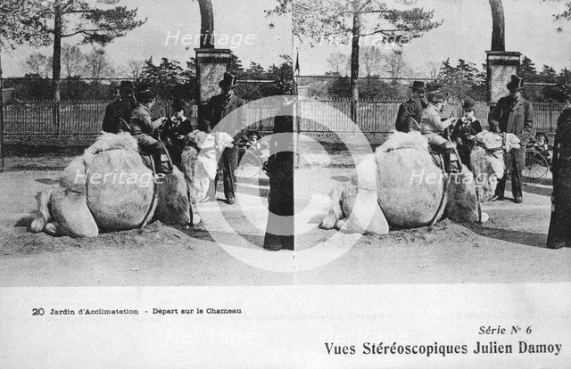 Camel ride, zoological gardens, c1900. Artist: Julien Damoy