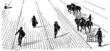 Crop rotation: sowing and harrowing corn, 1855. Artist: Unknown