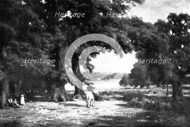 Pictures from the Royal Academy: Through The Forest - C. E. Johnson, 1898. Creator: Unknown.