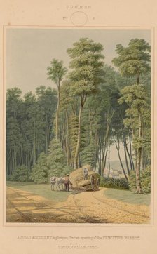 Summer--A Road Accident. A glimpse thro' an opening of the Primitive Forest... 1841. Creator: William James Bennett.