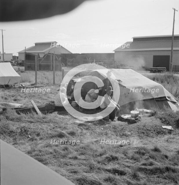 Living conditions for migrant potato pickers, Siskiyou County, California, 1939. Creator: Dorothea Lange.