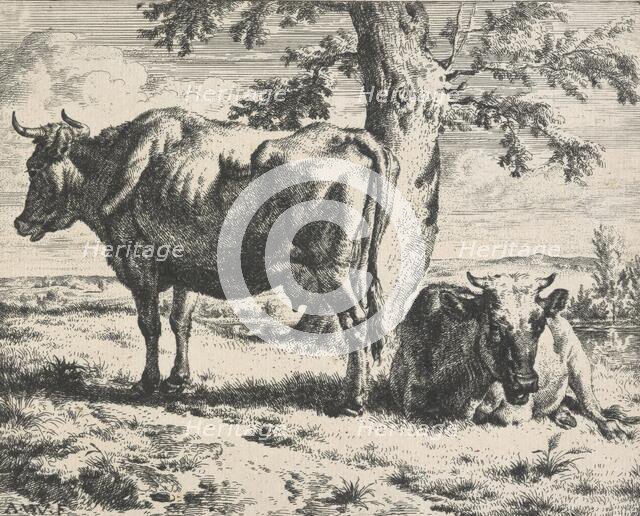 Cows and sheep. Plate 3: Two cows under a tree, 1650-1672. Creator: Adriaen van de Velde.