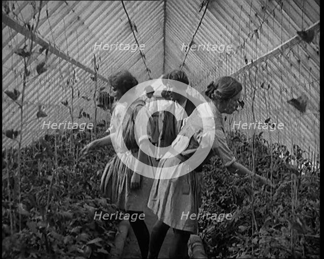 Young Female Civilians Working in a Greenhouse in a Horticultural Class, 1920. Creator: British Pathe Ltd.