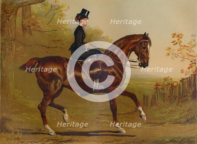 'Going To Cover - A Portrait', c1879. Creator: Alfred Chantrey Corbould.