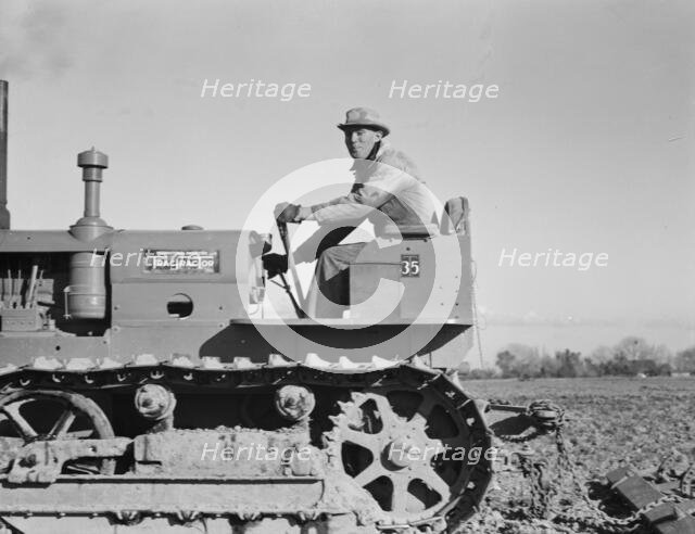 Cultivating potato-fields, west side of San Joaquin Valley, California, 1939. Creator: Dorothea Lange.