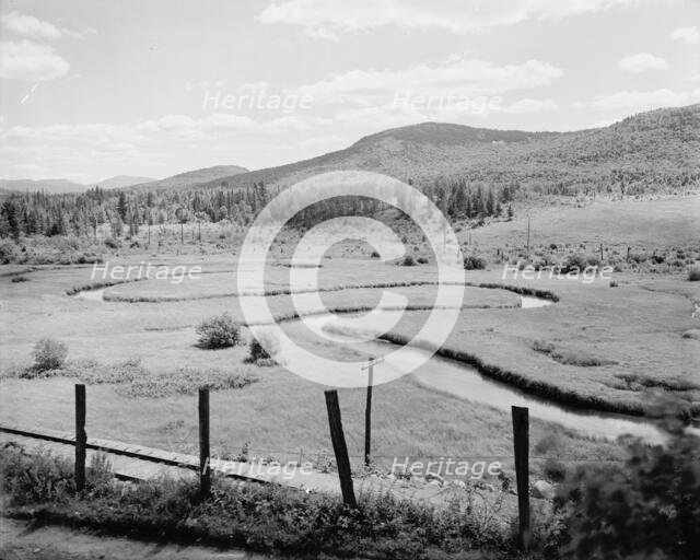 Letter "S" at state hospital, Ray Brook, Adirondack Mts., N.Y., c1907. Creator: Unknown.
