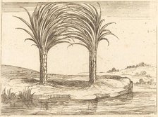 Two Palm Trees. Creator: Jacques Callot.