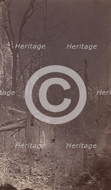 The Wilderness Battlefield, 1864. Creator: Unknown.
