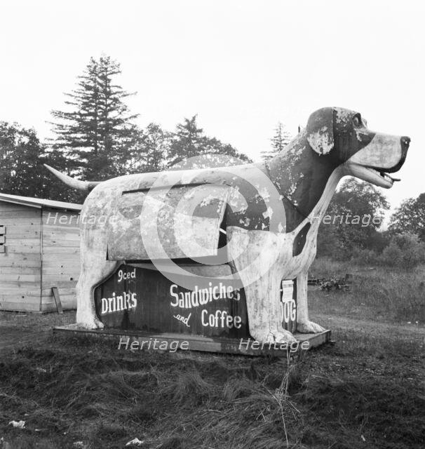 On U.S. 99 as it continues through Oregon, Lane County, Williamette Valley, Oregon, 1939. Creator: Dorothea Lange.
