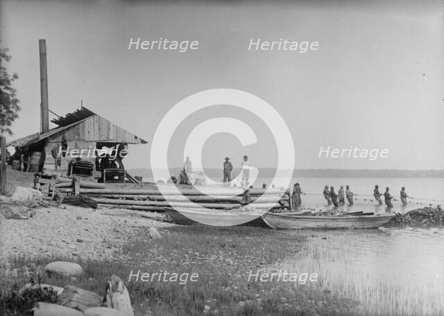 Shad fishing, between c1910 and c1915. Creator: Bain News Service.