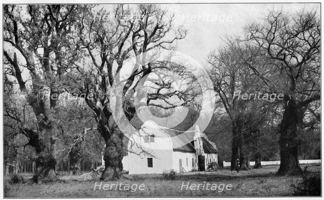 The cellar at Vergelegen wine estate, South Africa, 1931. Artist: Unknown