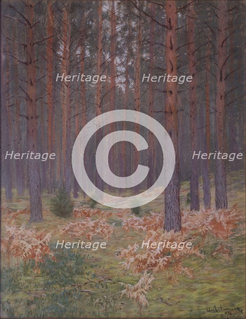 Ferns, 1894. Artist: Levitan, Isaak Ilyich (1860-1900)