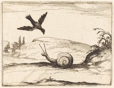 Crow and Snail, 1628. Creator: Jacques Callot.