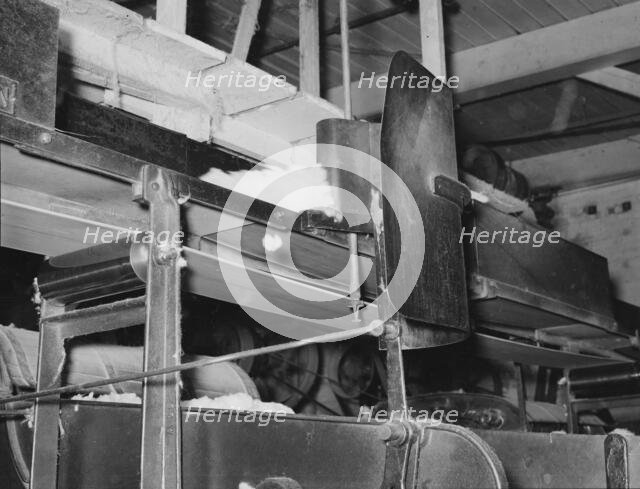 Cotton from the bale is transported by belt...for making bats, Laurel, Mississippi, 1939. Creator: Dorothea Lange.