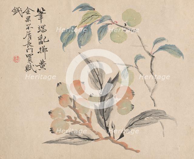 Loquat Tree of Japan. Creator: Tsubaki Chinzan (Japanese, 1801-1854).