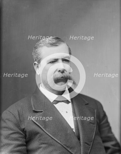 Thomas Lowry Young of Ohio, between 1865 and 1880. Creator: Unknown.