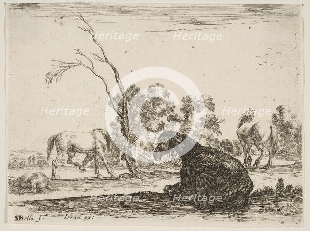 Plate 8: a seated horse to right, seen from behind and turned to the left, three other hor..., 1642. Creator: Stefano della Bella.