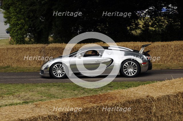 2009 Bugatti Veyron Pur Sang  Artist: Unknown.