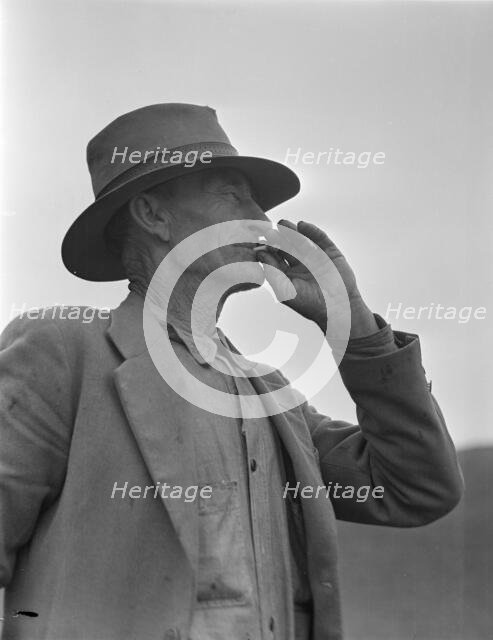 This man is a labor contractor in the pea fields of California, 1936 Creator: Dorothea Lange.