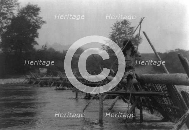 Fish-weir across Trinity River-Hupa, 1923. Creator: Edward Sheriff Curtis.