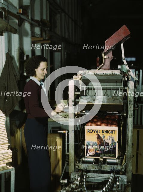 Operating a machine for putting tops on crates, co-op orange packing plant, Redlands, Calif. , 1943. Creator: Jack Delano.
