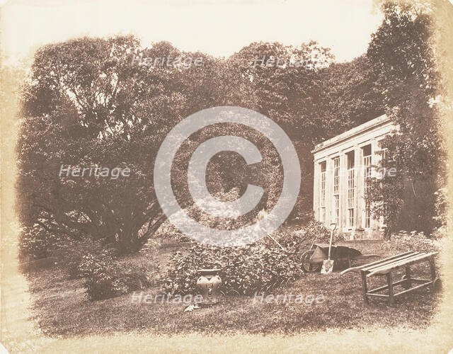 Penrice Garden, 1853-56. Creator: John Dillwyn Llewelyn.