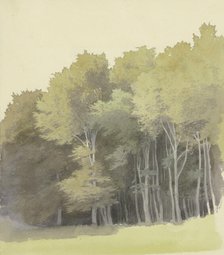 Edge of a wood, c1853. Creator: Carl Theodor Reiffenstein.