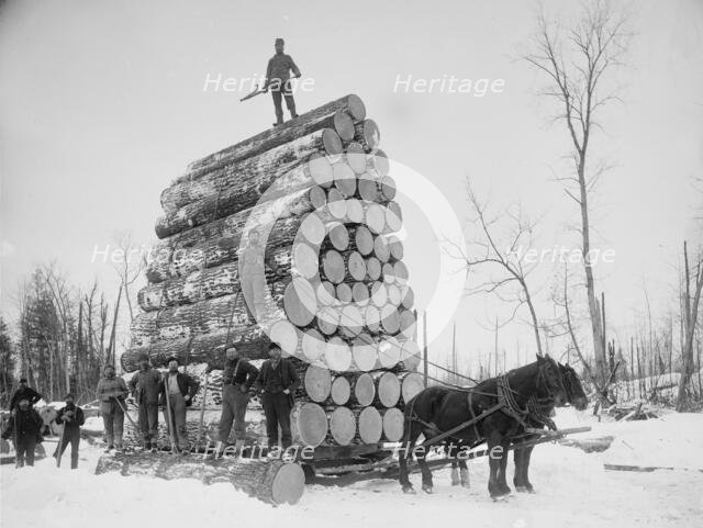 Logging a big load, between 1880 and 1899. Creator: Unknown.
