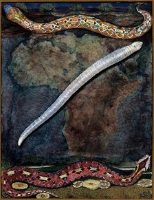 Parasites: a parasitical worm, shown much enlarged, with its hosts, c1930. Creator: J Svoboda.