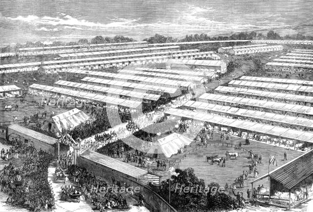 The Irish Royal Agricultural Society's Show at Dublin, 1871. Creator: Unknown.