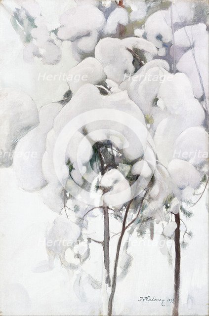 Snow-Covered Pine Saplings. Artist: Halonen, Pekka (1865-1933)