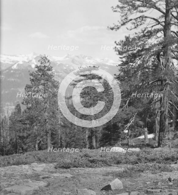Travel views of Yosemite National Park, between 1903 and 1906. Creator: Arnold Genthe.