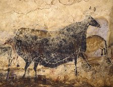 Black Cow. Caves painting of Lascaux, ca 16.000-15.000 BC. Creator: Art of the Upper Paleolithic.