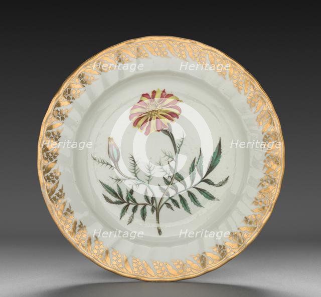 Plate from Dessert Service: French Marigold, c. 1800. Creator: Derby (Crown Derby Period) (British).
