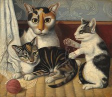 Cat and Kittens, c. 1872/1883. Creator: Unknown.