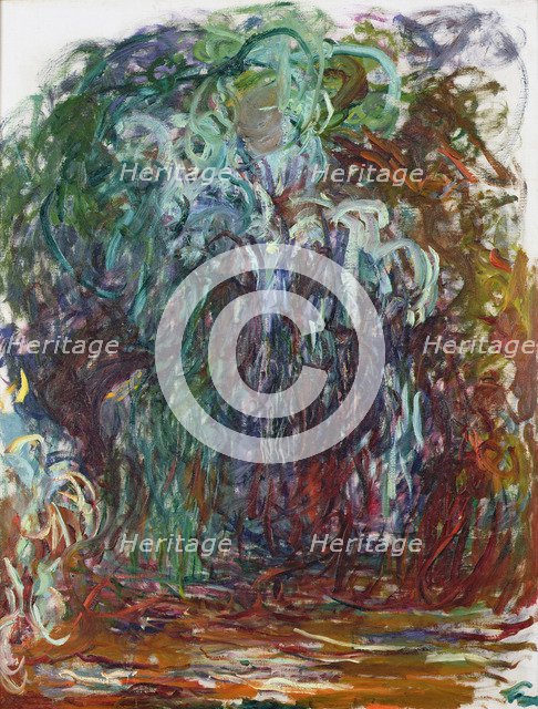 Weeping willow, 1921-1922.