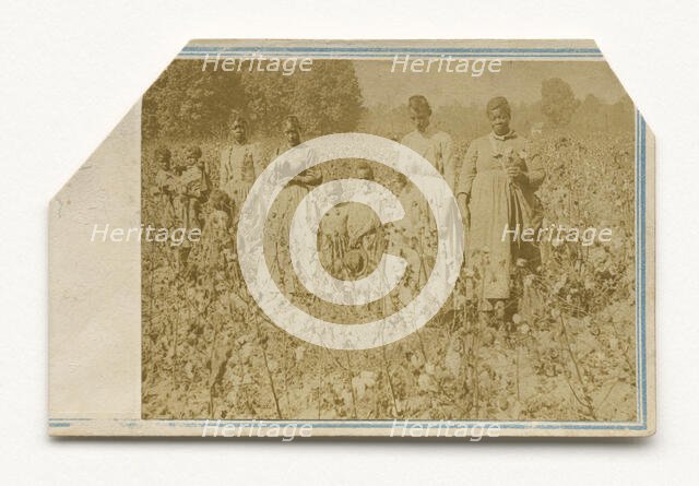 Carte-de-visite of African-American women and children in a cotton field, 1860s. Creator: J. H. Aylsworth.