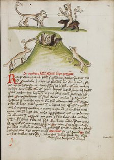 A Lion Standing on the Back of a Bear: Two Foxes in a Hole..., third quarter of 15th century. Creator: Unknown.