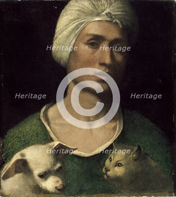 Portrait of a young Man holding a Dog and a Cat, c1530s. Artist: Dosso Dossi.