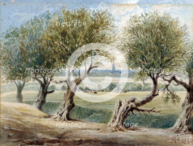 Last Vestige of the River Fleet, ...on the East side of Fleet Road, Hampstead, 1880. Artist: Edward Arthur Heffer