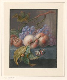 Fruit with a butterfly and a snail, 1677-1726. Creator: Herman Henstenburgh.