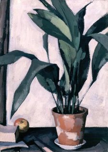 Aspidistra, 1927. Creator: Samuel John Peploe.