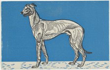 Greyhound, 1912. Creator: Moritz Jung.