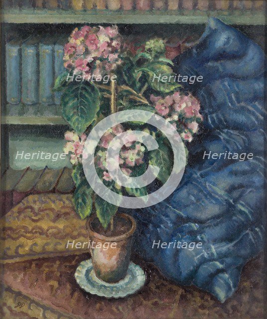 Hydrangeas, 1893-1932. Artist: Douglas Davidson