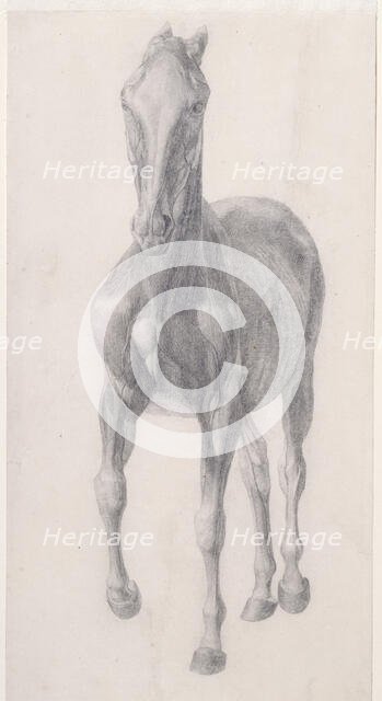 Finished study for 'The Sixth Anatomical Table of the Muscles ... of the Horse', 1756. Creator: George Stubbs.