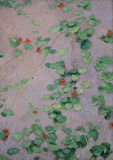 Nasturtiums, c1892. Creator: Caillebotte, Gustave (1848-1894).