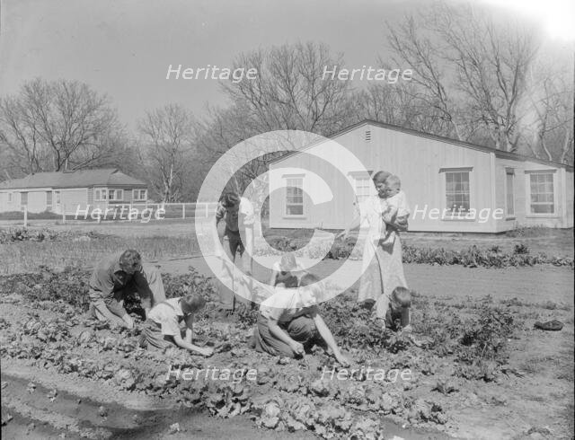 El Monte federal subsistence Homesteads, California, 1936. Creator: Dorothea Lange.