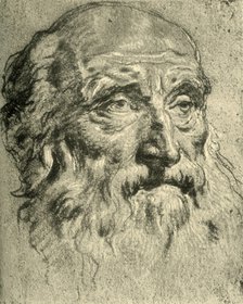 'Head of an Old Man', mid 18th century, (1928). Artist: Giovanni Battista Tiepolo.
