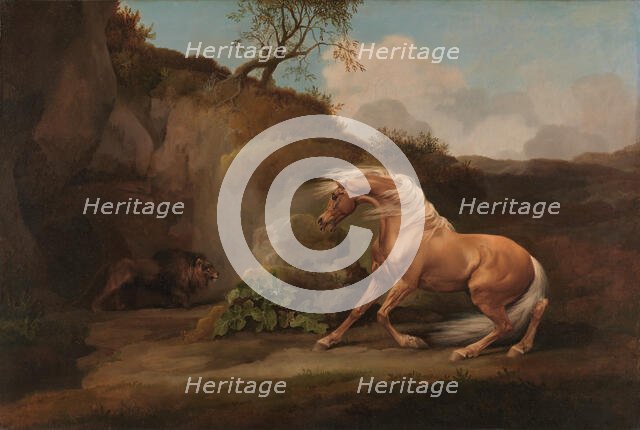 Horse Frightened by a Lion, between 1762 and 1768. Creator: George Stubbs.