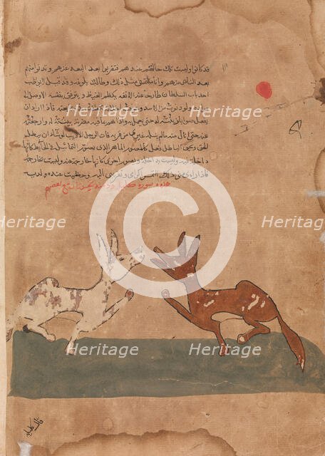 Kalila and Dimna Discussing Dimna's Plans to Become a Confidante of the Lion..., 18th century. Creator: Unknown.